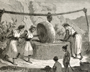 Zeytinciliğin Tarihi